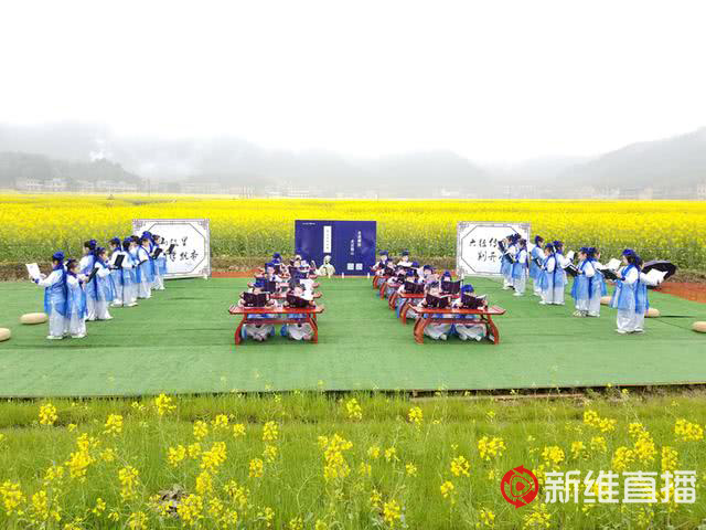 <a href='//www.snsrzx.cn' target='_balnk'>湖南</a>油菜花節(jié)召開